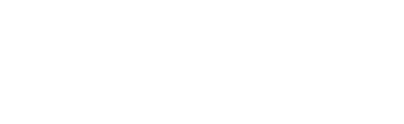 Danimo Media Logo für Organisches Social-Media Marketing