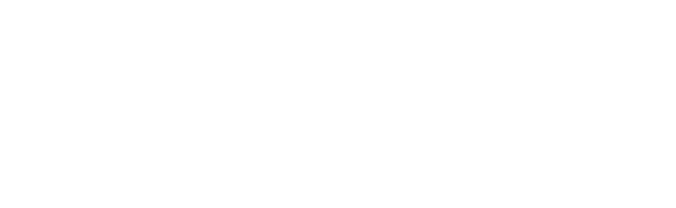 Danimo Media Logo für Organisches Social-Media Marketing